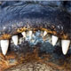 Зубы аллигатора – будущее стоматологии?..