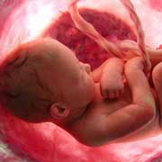 10 вопросов о том, что происходит во время беременности? Одноразовые органы.